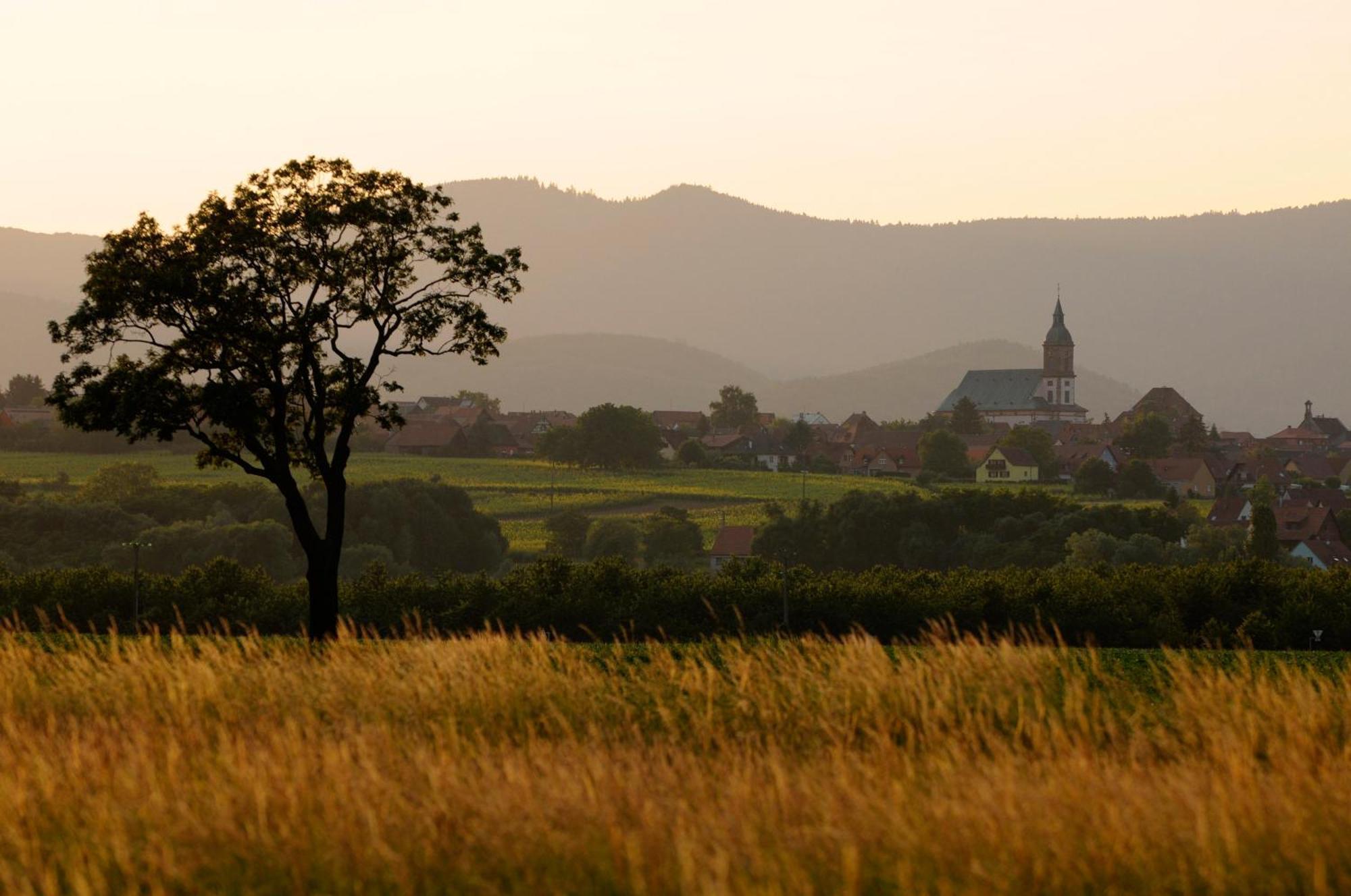 Gite Elouann Familial Spacieux Calme Ebersheim Екстер'єр фото